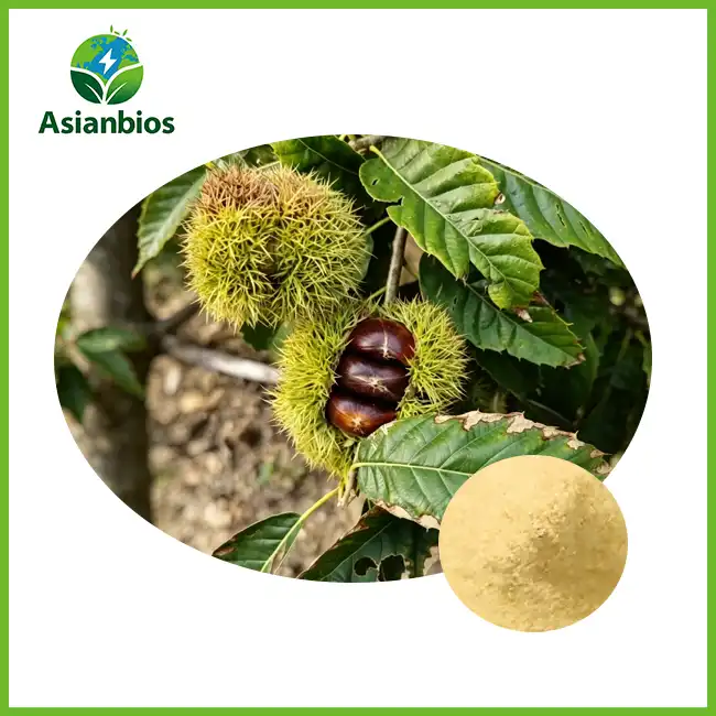 Bulk Chestnut Powder